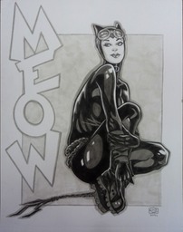Catwoman8